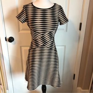 Women’s dress petite